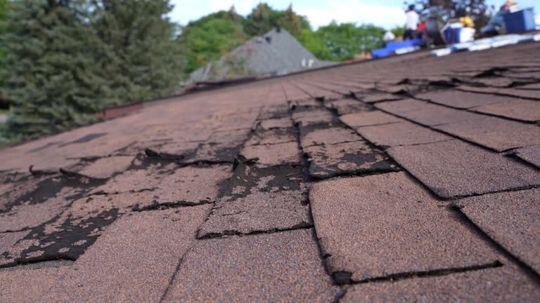 Trusted Prunedale, CA Roofing Service Experts
