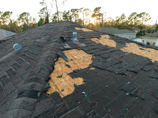 Best Roof Maintenance and Cleaning  in Prunedale, CA